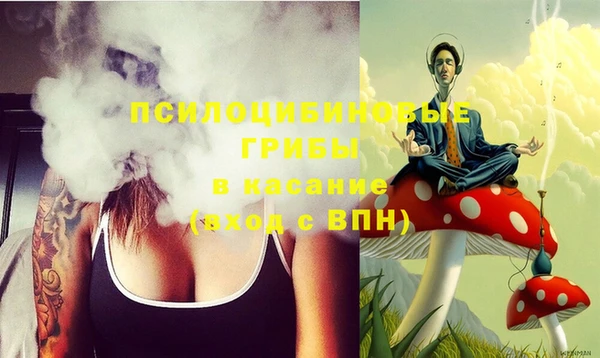 стафф Елабуга