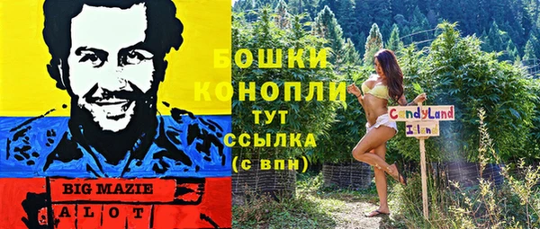 стафф Елабуга