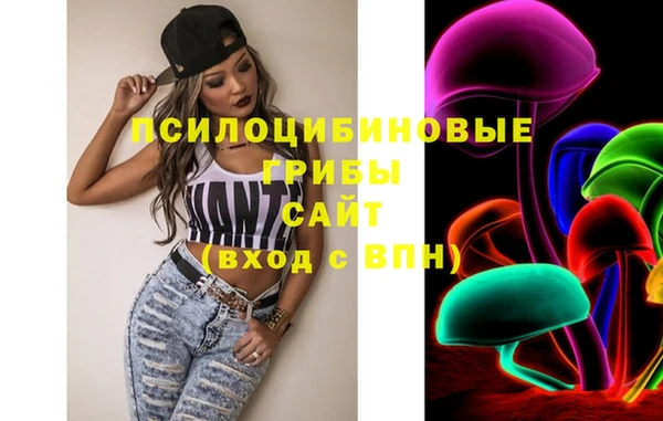 альфа пвп Заводоуковск